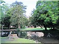 Pond in the grounds of the offices of Broxbourne Council