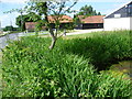 Pond at Little Bursteads Farm