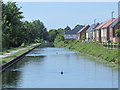 A long, straight stretch of the New River south of Brookfield Lane West, EN8 (2)