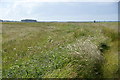 SD3403 : Fields beside the River Alt below Homer Green by Mike Pennington