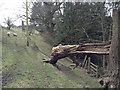 Footpath to Heath Farm