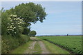 Track to Ince Blundell Pumping Station