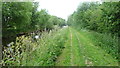 The towpath of the Montgomery Canal below Aston Locks near Queen