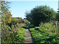 Path by the Boundary Ditch