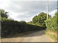 The road between Frogmore Hill and Walkern Road