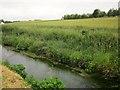 River Chalke near Mead End