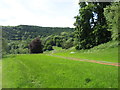 A track near the River Wye