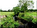 Stream, Kiltermon