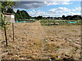 Lampton Park allotments