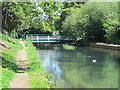 The New River south of a footbridge by Huntingdon Close, EN10