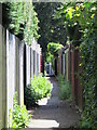 Path between the New River and High Road, Turnford, EN10