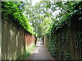 Earlsdon alleyway