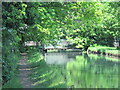 The New River south of Church Lane, EN10