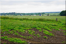 SJ9216 : Grassy field near Dunston by Bill Boaden