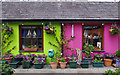 Shops, Beaumaris