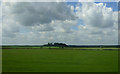 Flat farmland near Burton Pedwardine