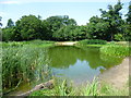 The fishpond on Barn Hill