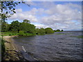 Shoreline, Lough Neagh, Derrytragh North