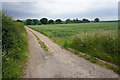 Wheat field and farm track near Drayton Manor