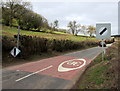 Fallen speed limit sign at the edge of Clearwell