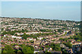 Patcham and Hollingbury from the air