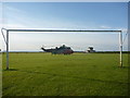 NT6779 : Coastal East Lothian : Chopper In Goal by Richard West