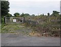 Platform remains, Bason Bridge railway station