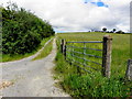 Rough lane and gate, Lettery