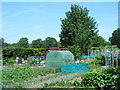 Church Lane Allotment