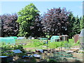 Church Lane Allotment (2)