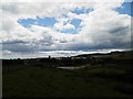 Rough grazing above Inverbervie