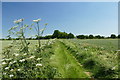 Snaith and Gowdall footway