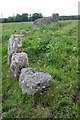 Aquhorthies Recumbent Stone Circle (10)