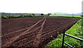 Tracks through a field, Bridstow