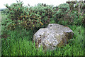 NO8996 : Auchlee Recumbent Stone Circle (4) by Anne Burgess