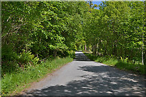 NN0147 : The Glen Creran road north of Invercreran by Nigel Brown