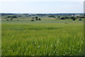 View from Mill Lane, Aughton