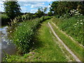 Trent & Mersey Canal and towpath near Handsacre