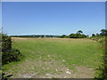 Fields near Llangoed