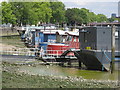 House boats near Battersea Bridge