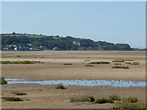 SH5380 : Red Wharf Bay at low tide by David Medcalf