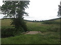 Bridge over a drain southeast of Bank House Farm