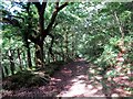 Llwybr Cilmachau Path