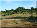 Old gravel pit area, Orsett