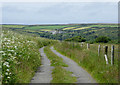 Minor lane to South Hole, Devon