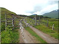 NN2641 : Gate and stile near Bridge of Orchy by Malc McDonald