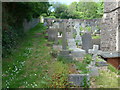 St Mary, Appledore: churchyard (v)