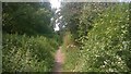 Footpath on Edge of the Estate