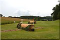 SK1427 : Eland Lodge Horse Trials: cross-country obstacles by Jonathan Hutchins