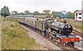 Dartmouth Steam Railway train approaching Churston, 1984